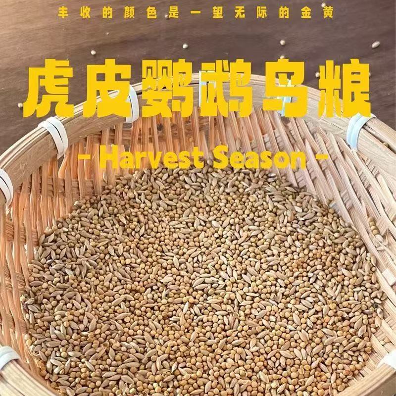 虎皮鹦鹉鸟粮黄谷子加纳利子