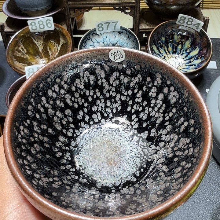 茶盏天才天才269的