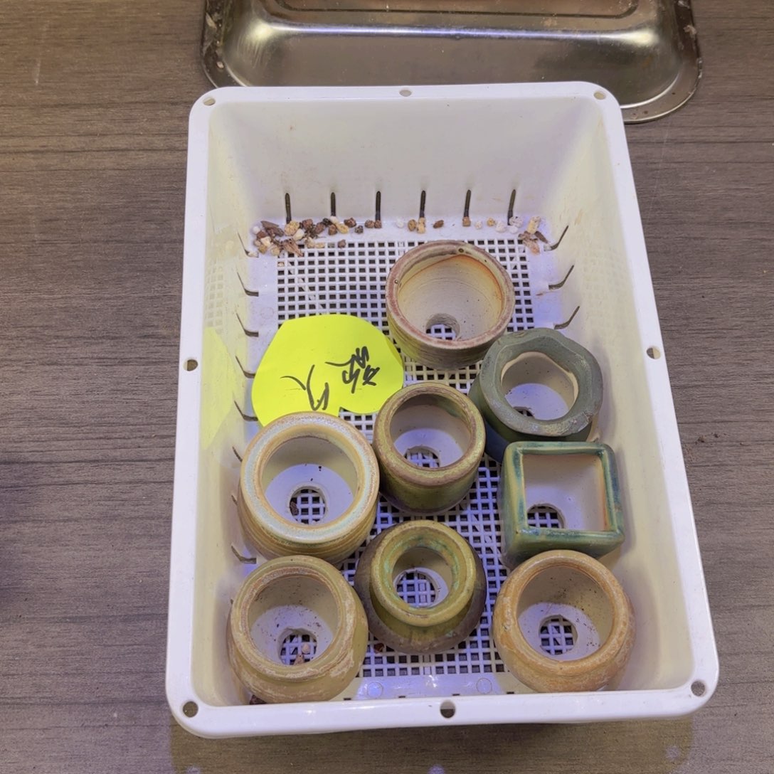 歆***久一物一拍一筐11111