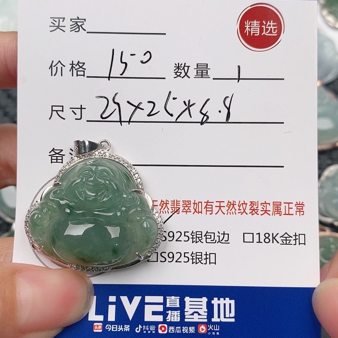 翡翠银S925镶嵌颈饰
