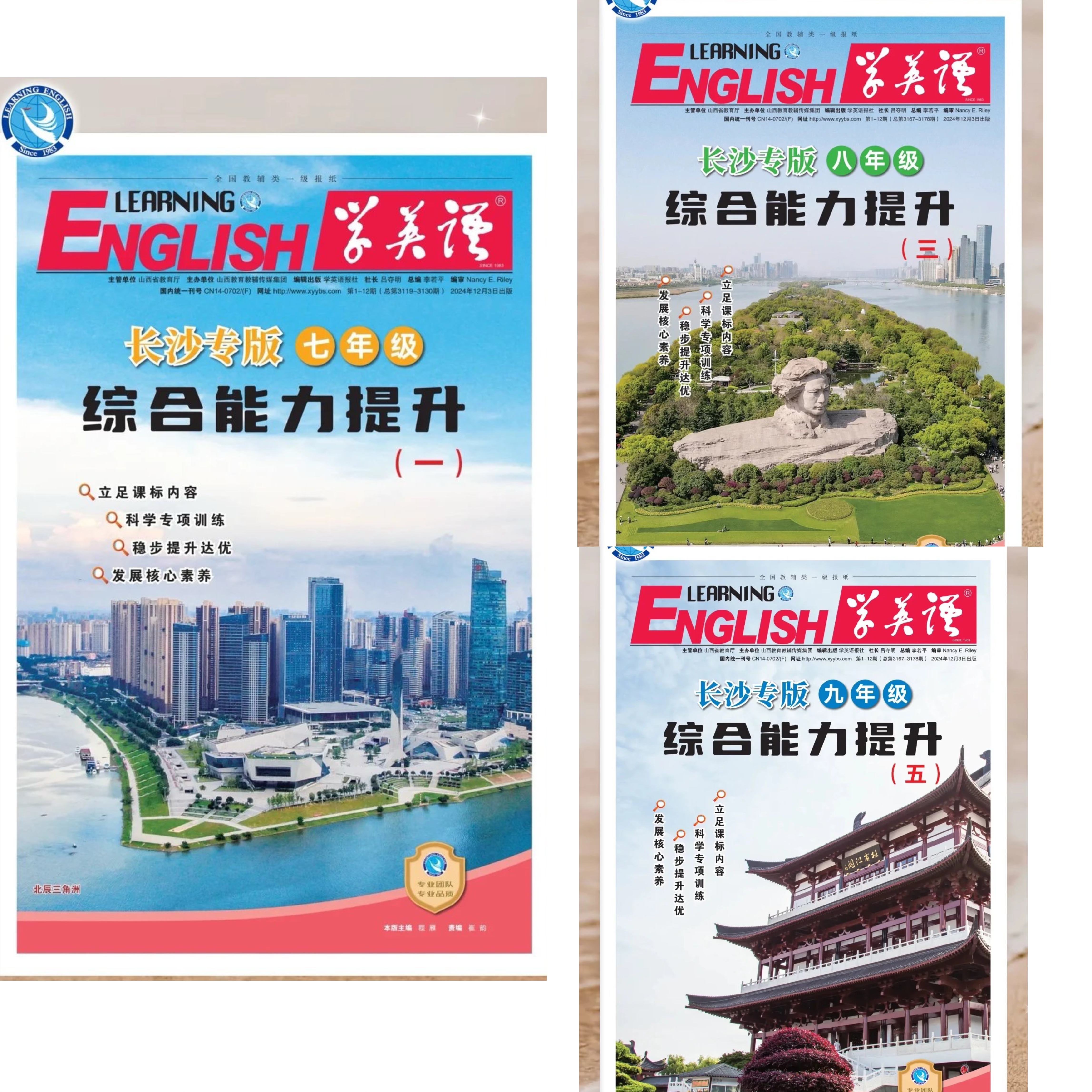 七年级英语综合能力提升基础知识专项归纳官方正版