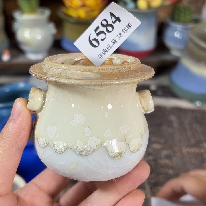 不满30元运费到付……
