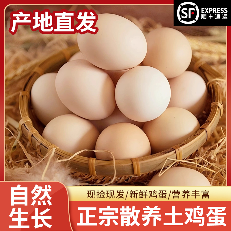 【顺丰包邮】谷物喂养现捡现发营养丰富笨鸡正宗散养新鲜