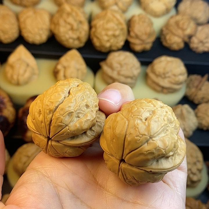 文玩核桃吊坠葵花鹦鹉38