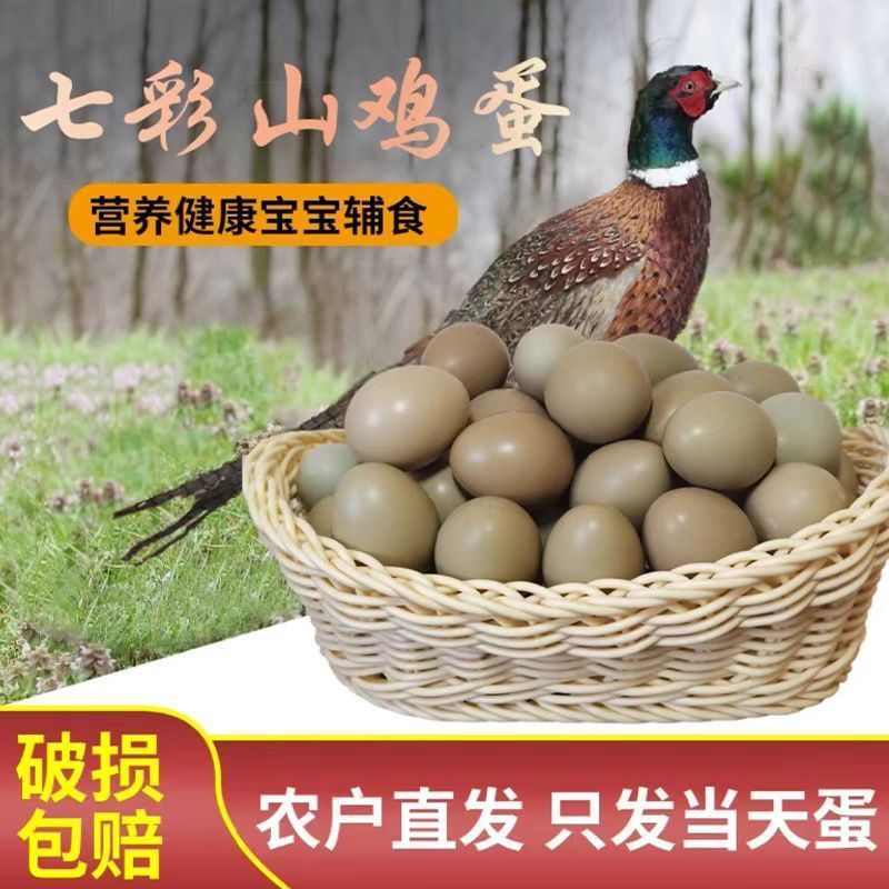 新鲜营养七彩山鸡蛋农家散养五谷杂粮喂养口感绵密健康正宗