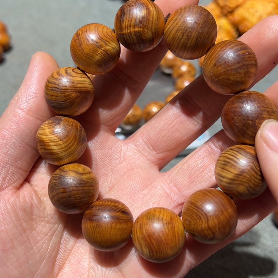 太行崖柏陈化太行