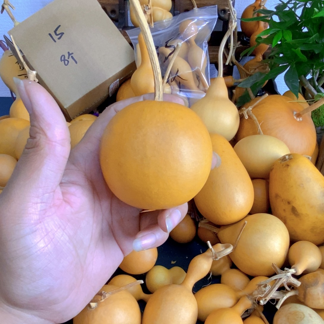 *****直播间链接，文玩葫芦