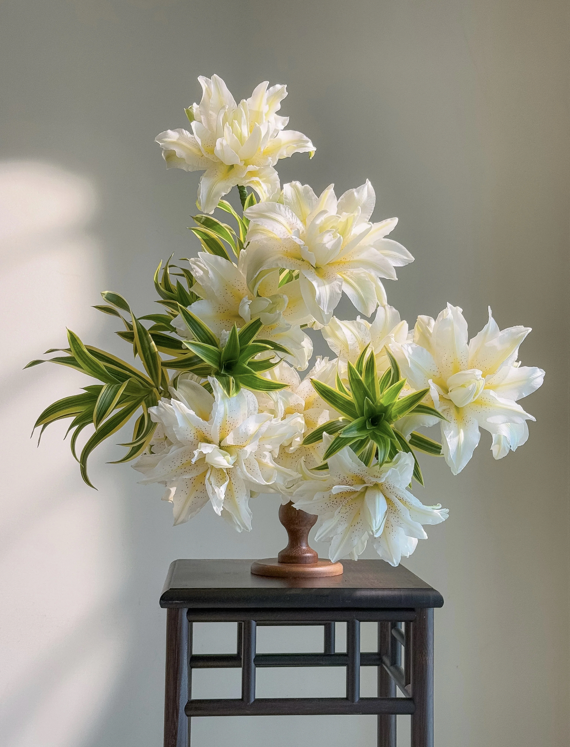 【多头白拉菲百合鲜花】云南产地直发 | 新鲜采摘