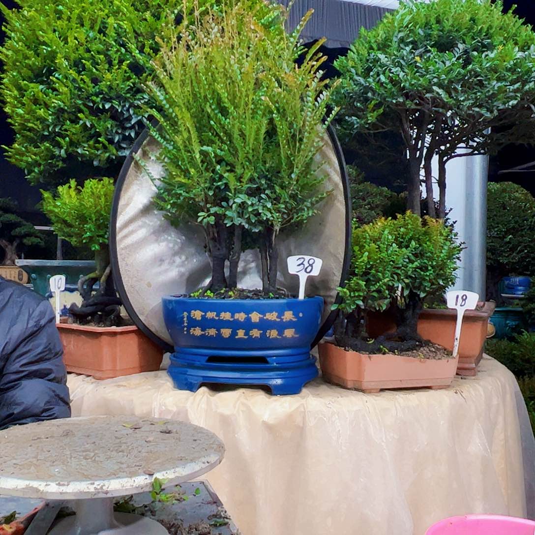 以实际为准如**好12345678