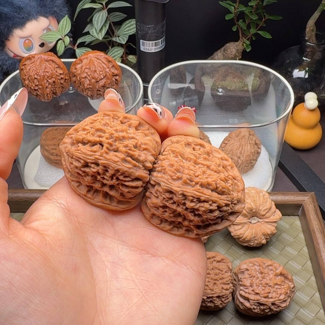 核桃全品三角疆41