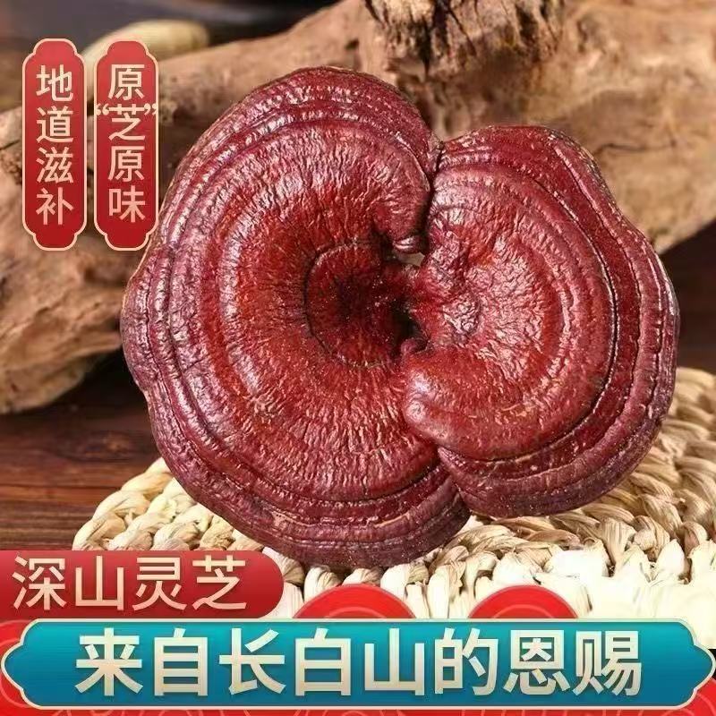 正宗长白山精选赤灵芝紫灵芝干货可泡酒泡茶煲汤特产