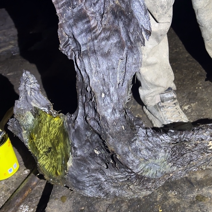 散***木乌木金丝楠摆件毛料