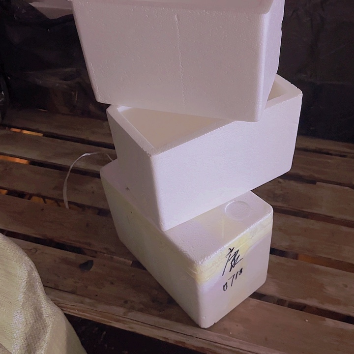 保温箱零度以下拍