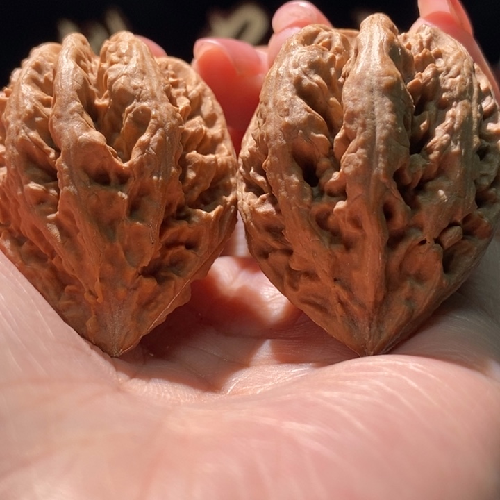 吊坠文玩核桃聚核财婉楸16