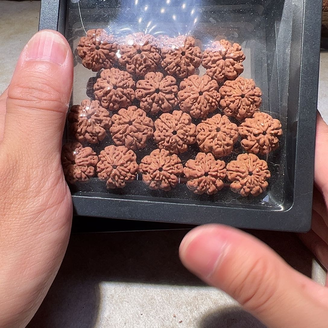 金刚菩提手串花王16尺寸左右福利