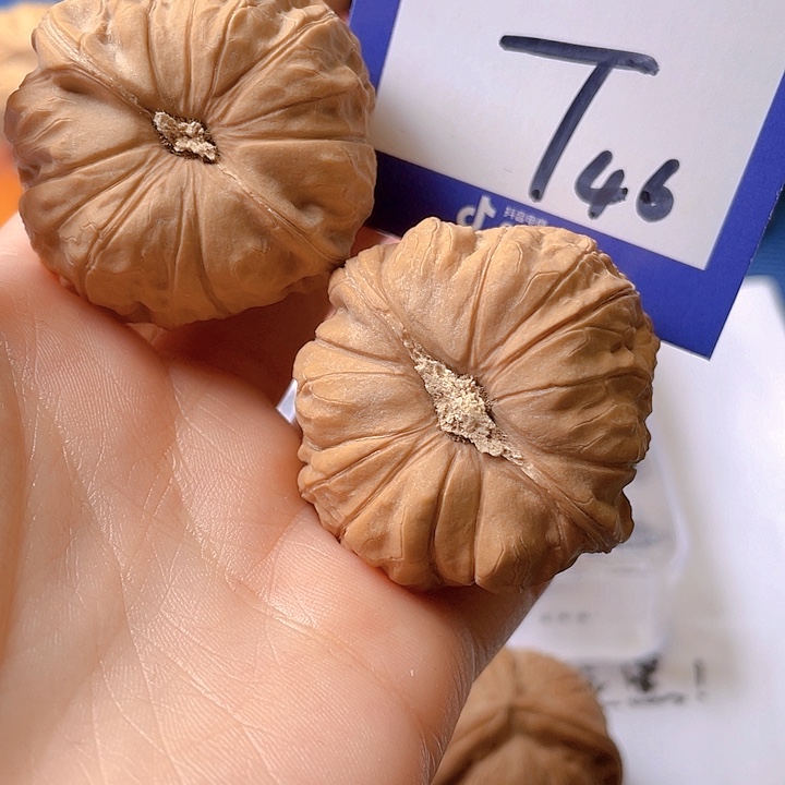 文玩核桃把件会**猫文玩核桃46