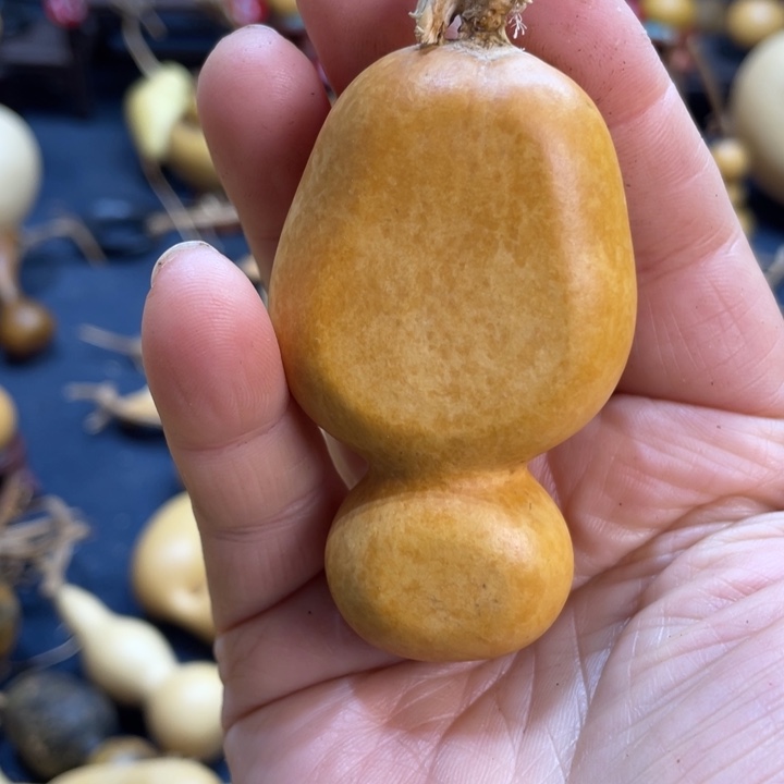 张***彬花开的季节是最美最美好最美好最美好最幸福滴