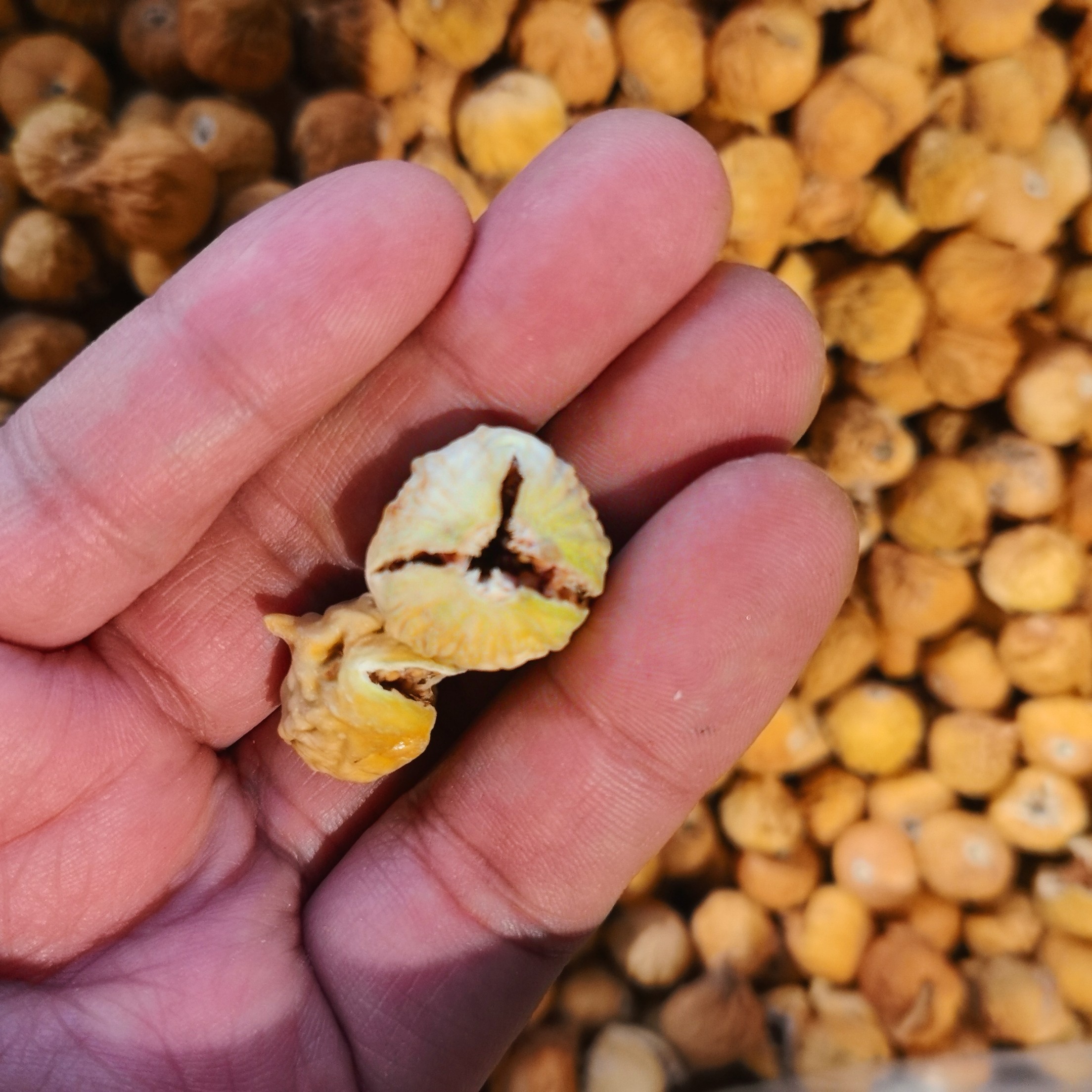 散装无花果一份（约500克）