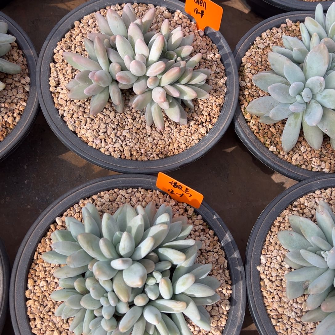 1121111111111111111111