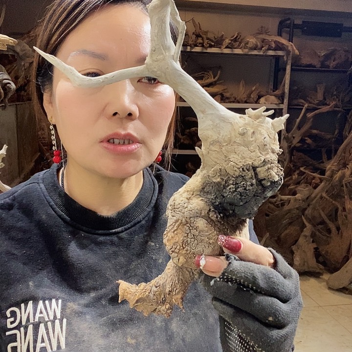 文玩核桃吊坠志*hhhhhhh