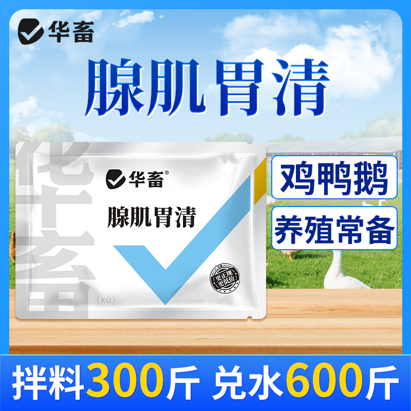 禽用缐肌谓清鸡鸭鹅鸽子鹌鹑芦丁鸡腺肌胃康兽用饲料添加剂