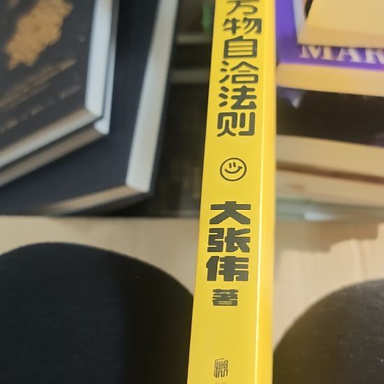 万物自洽法则，大张伟正版没有书衣（务必塑封）