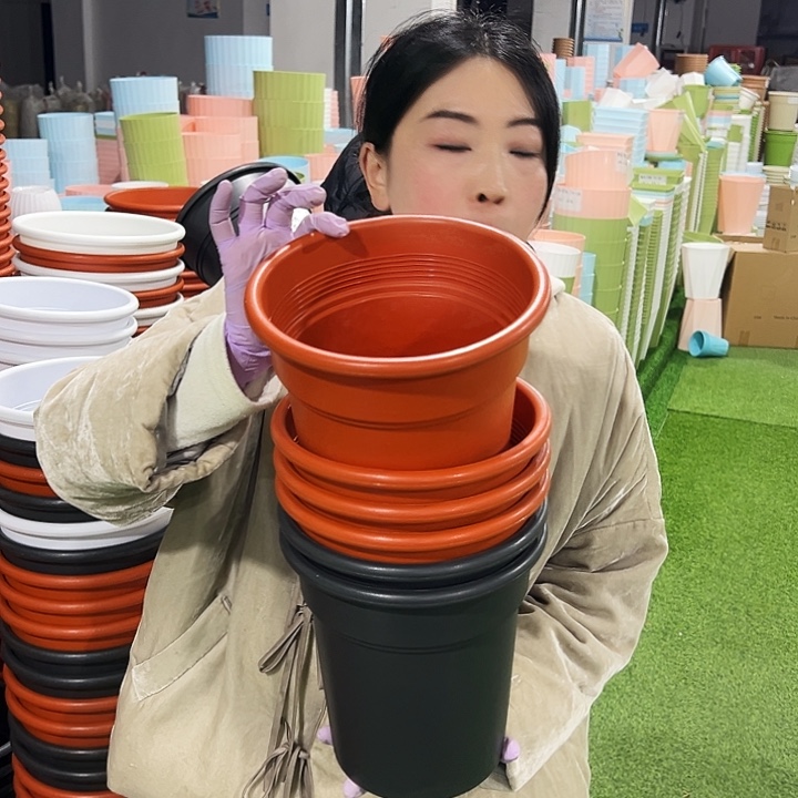 清仓翻边口21高22混色6只无托