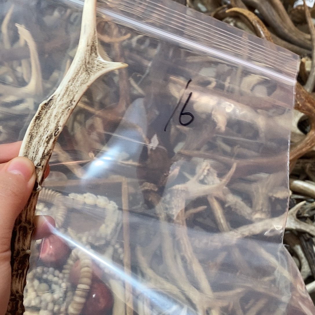 万***新非金属鹿角鹿角鹿角