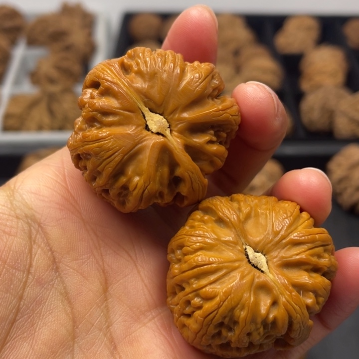 文玩核桃吊坠突突突突突突突