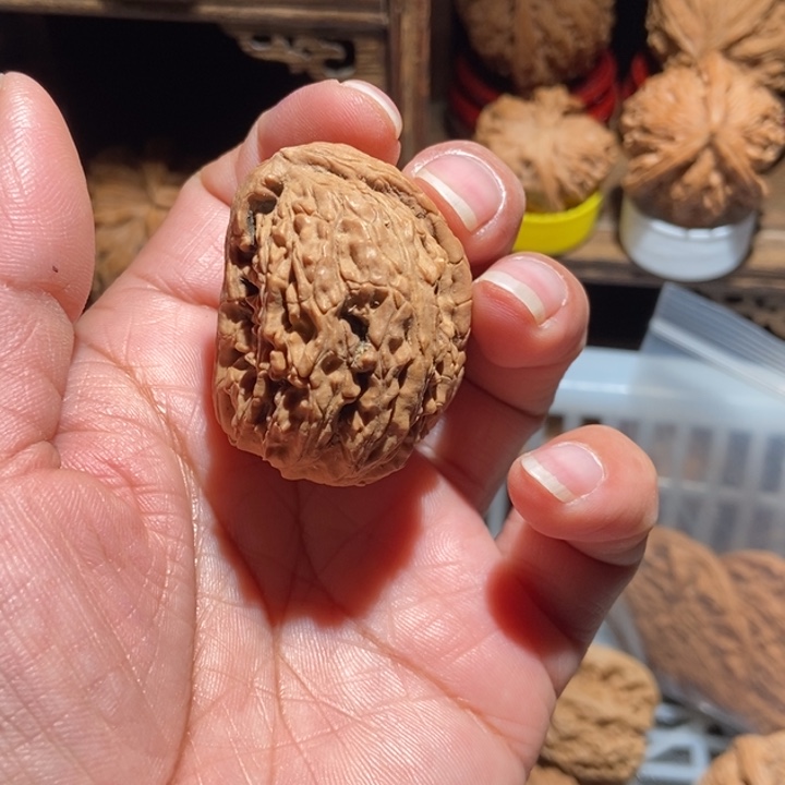 合***实核桃白狮子尺寸32全品