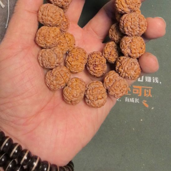 金刚菩提手串五星梅花大金刚，21左右，原皮原色