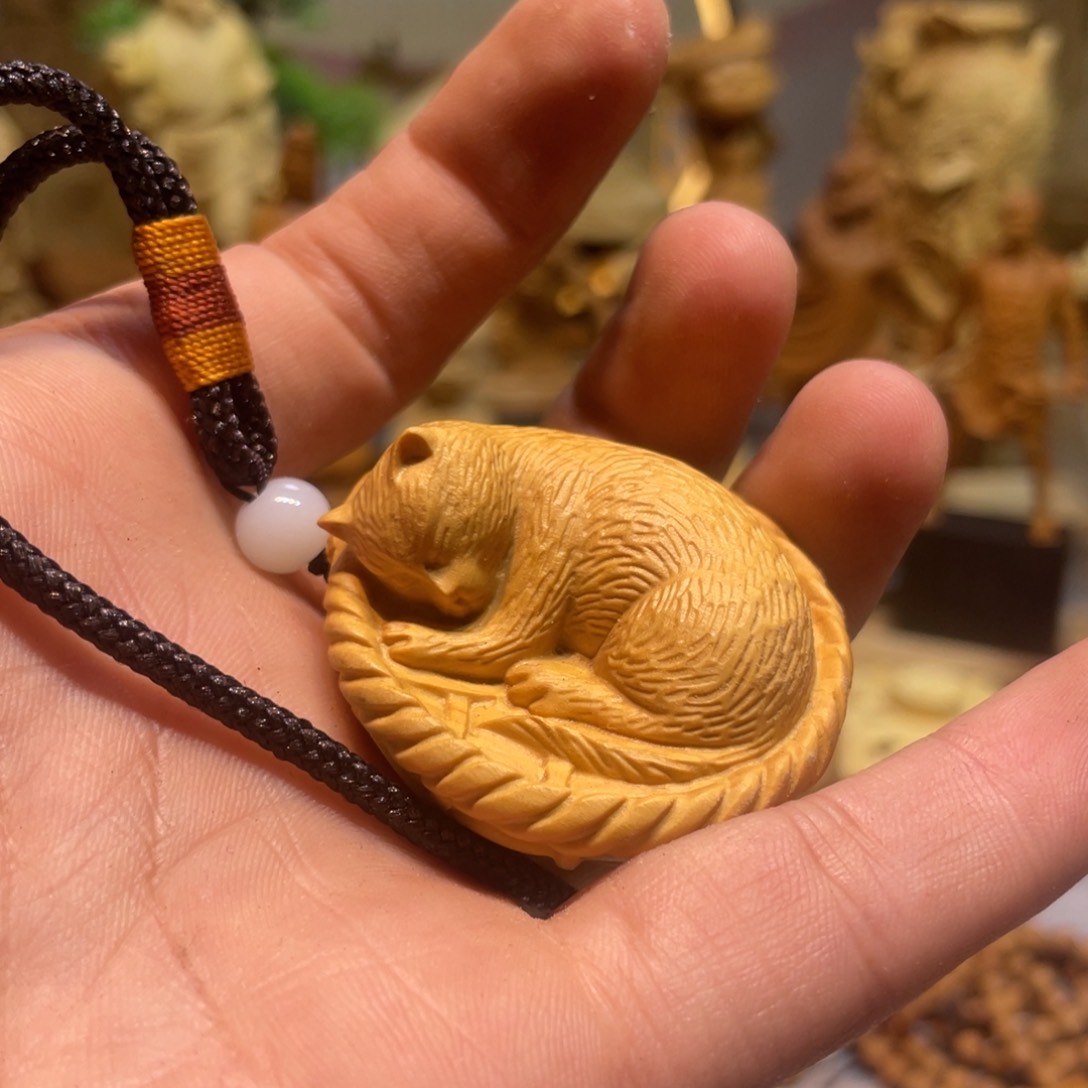 黄杨木小叶黄杨猫咪小瑕疵