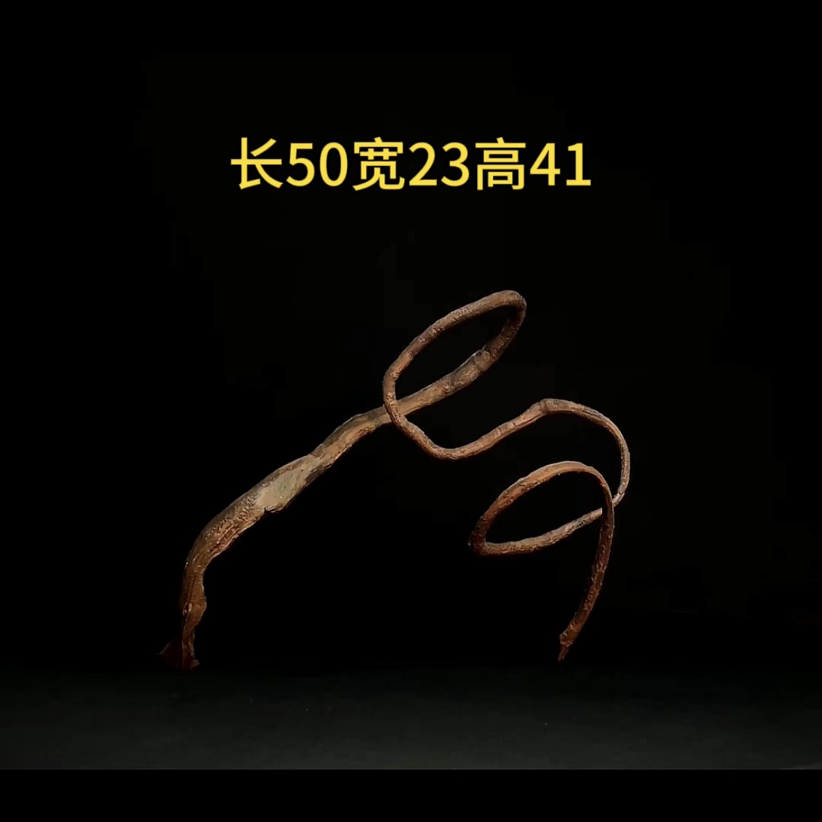 张大狼沉木鱼缸造景50cm奇特造型扭曲细枝沉木鱼缸装饰摆件