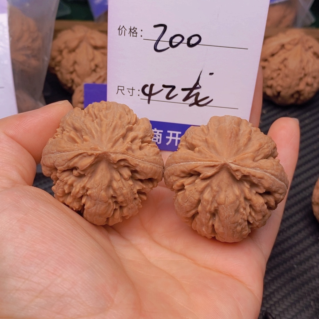 文玩核桃霸王龙核桃