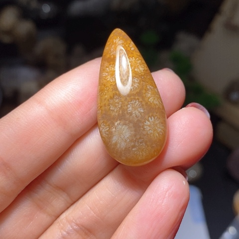 【闪购商品】硅化玉吊坠(不含链)未镶嵌