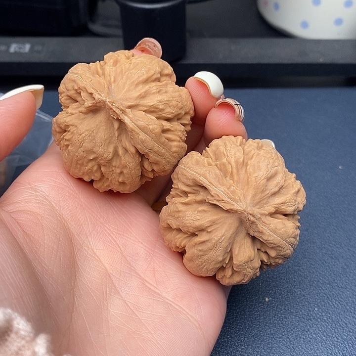 沧***馆霸王龙全品无刀休