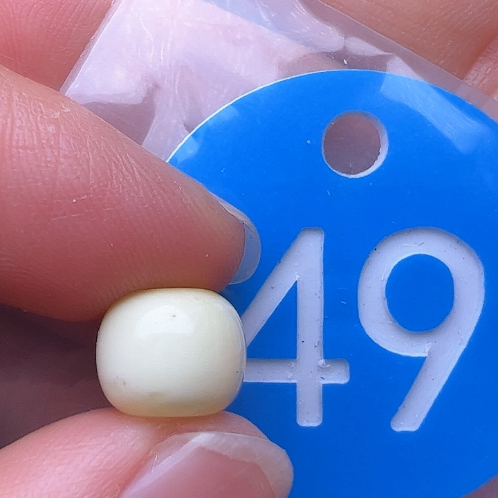 蜜蜡裸石未镶嵌花粉9.7m m