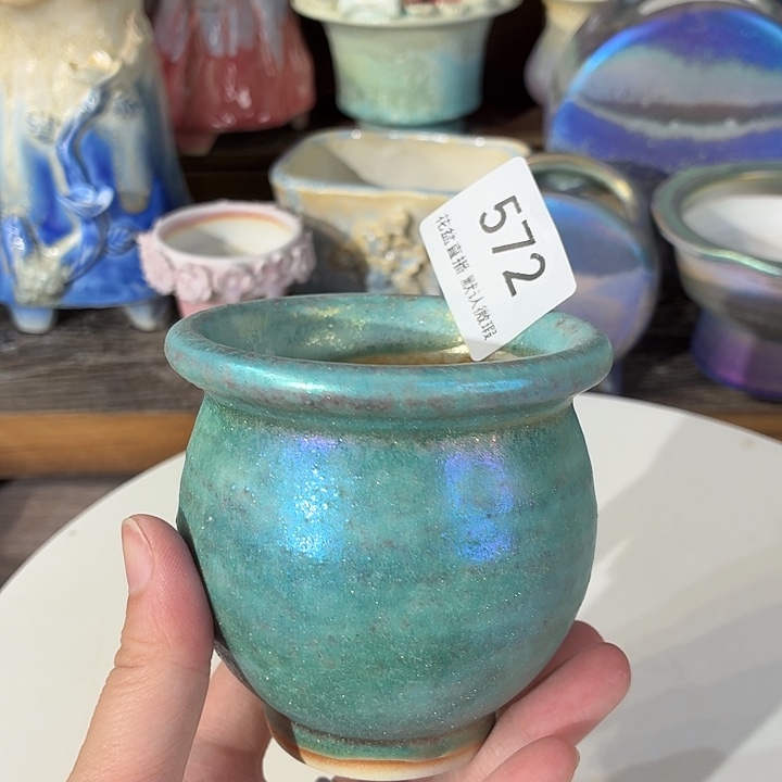 花盆花盆花盆花盆-炫彩