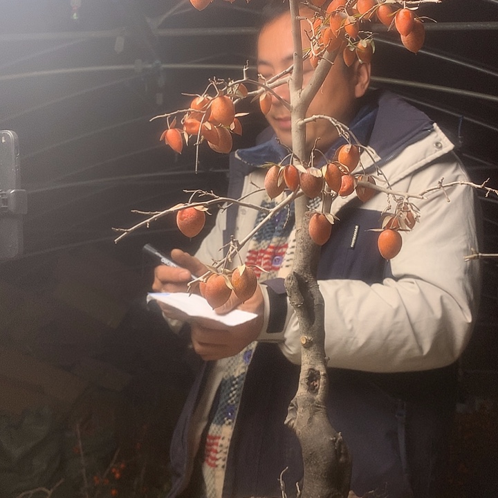 南***南无花朵我们的目标