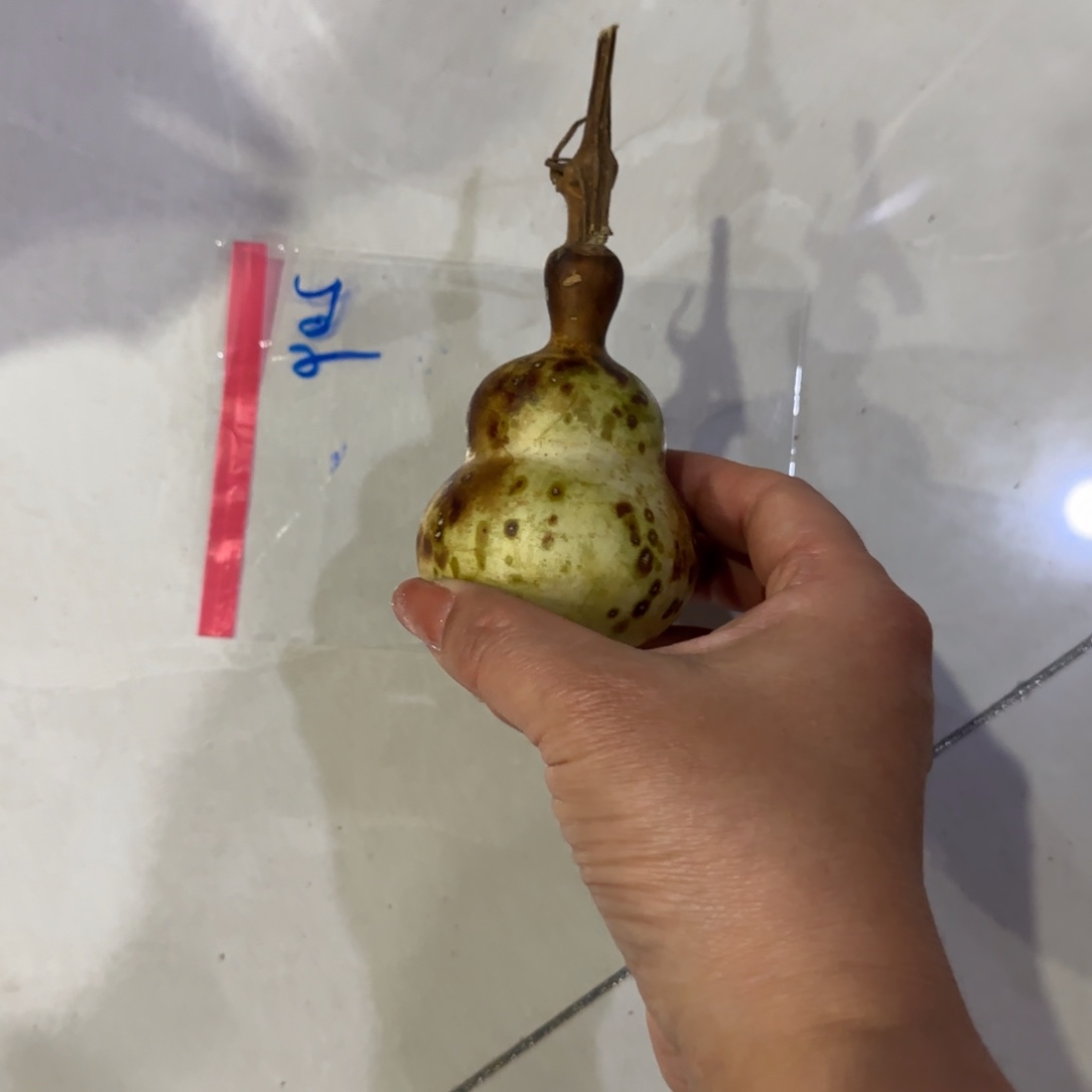 一***十葫芦返回化工厂VB好脚后跟GV哈哈