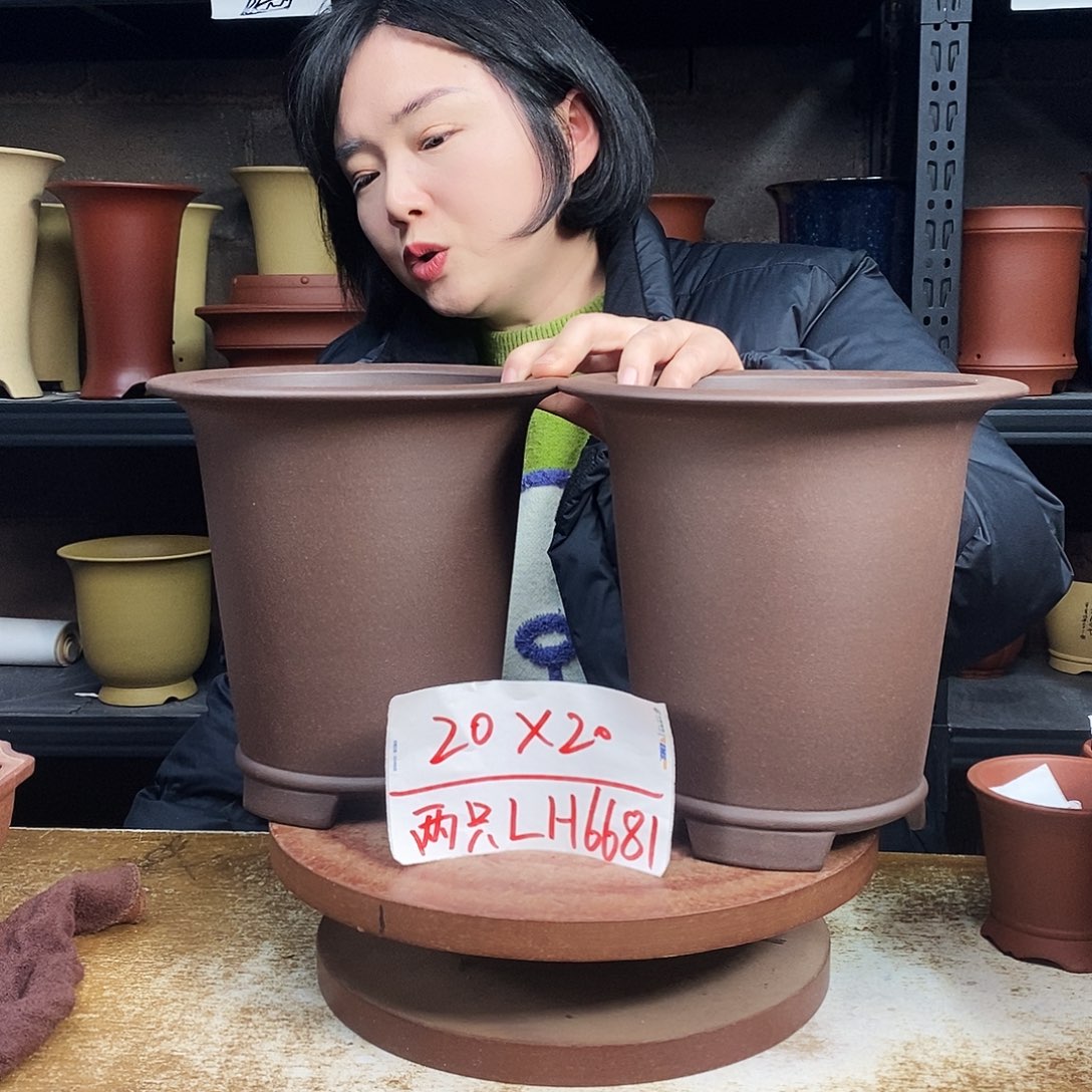 紫砂紫砂花盆两只LH6681