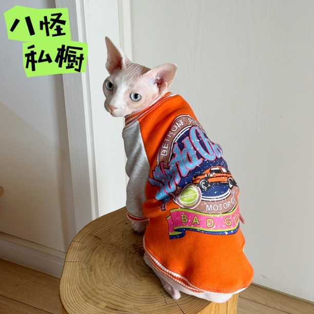 手工制作无毛猫德文猫冬季加绒加厚潮牌印花橘色棒球服