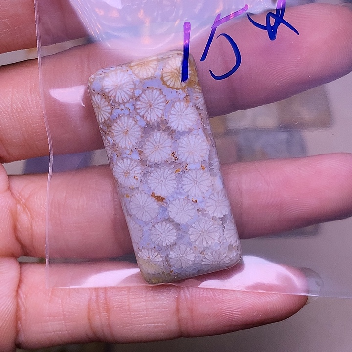 吉***祥硅化玉合金珊瑚玉