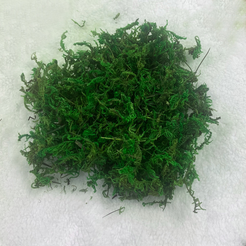 优质染色干苔藓不褪色真大灰藓干花水苔青苔永生花环材料盆栽装饰