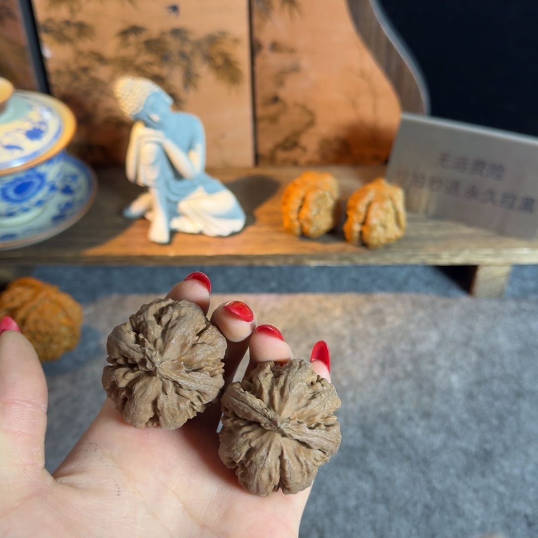 全品霸王龙41白茬