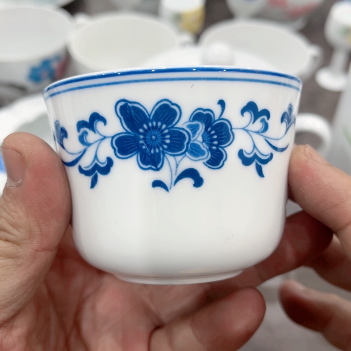 壶釉下五彩的瓷器和瓷器