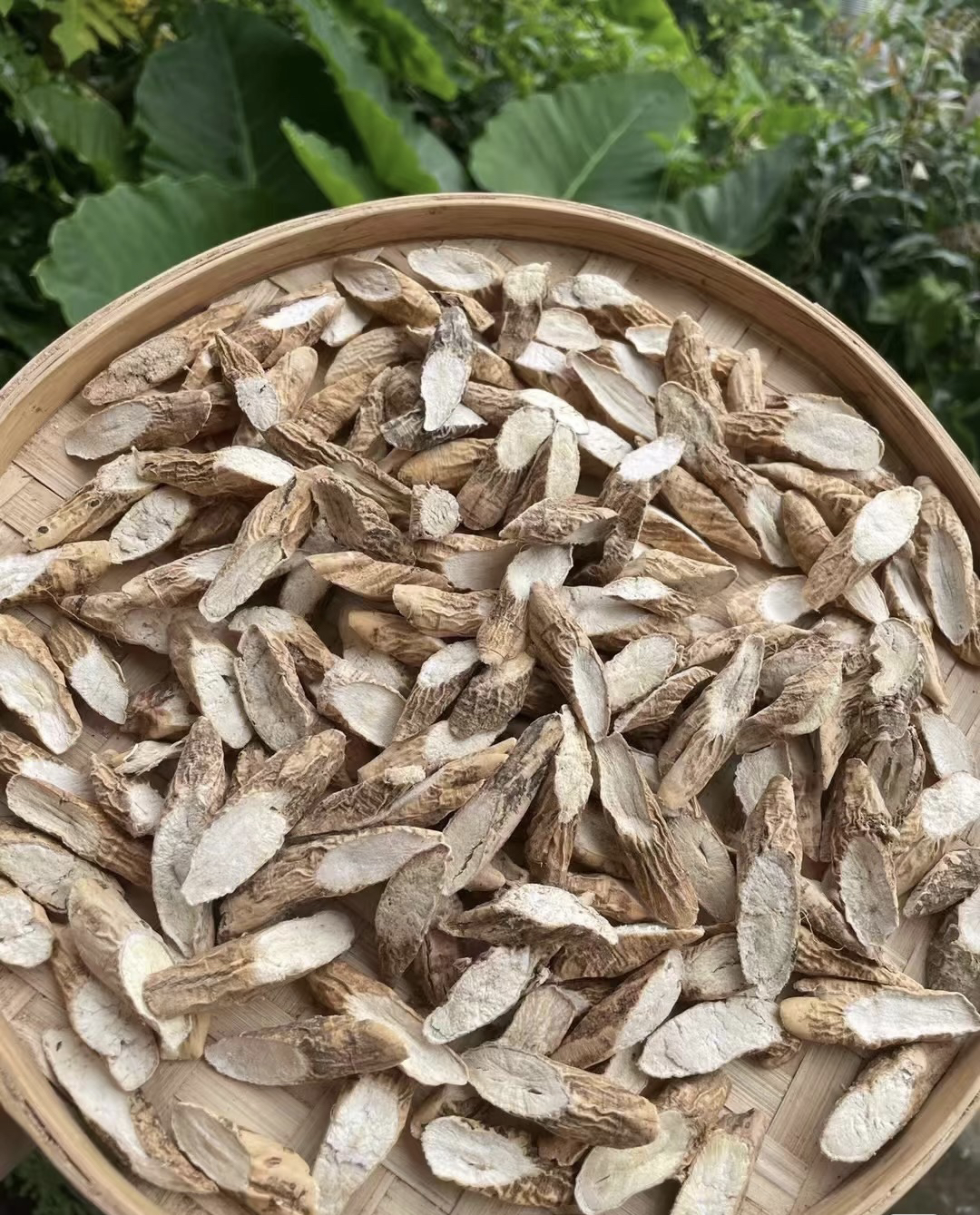 【聚菜】无硫 牛大力 可煮水 煲汤