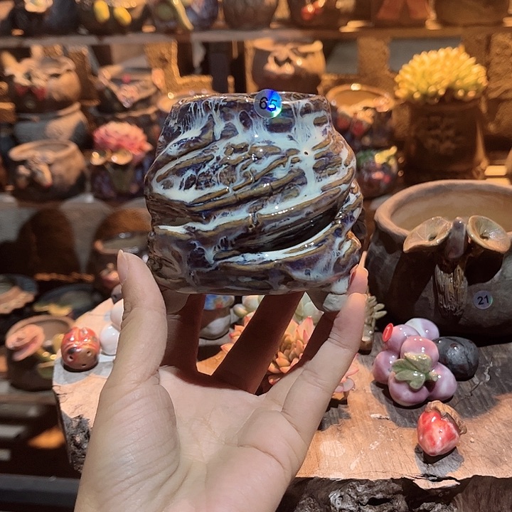 红陶不知道我是不是