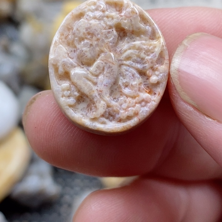 颈饰未镶嵌硅化珊瑚（珊瑚玉）小