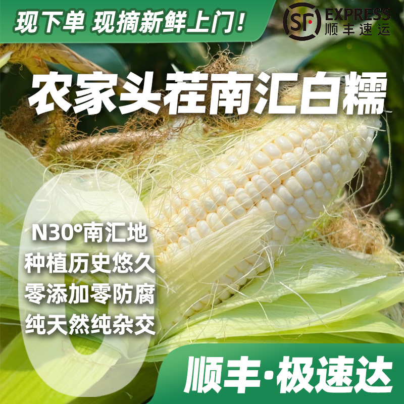 【下单·顺丰速鲜】南汇头茬本地新鲜带壳白糯玉米直播带货1万➕好评